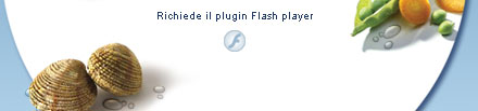 plug-in flash